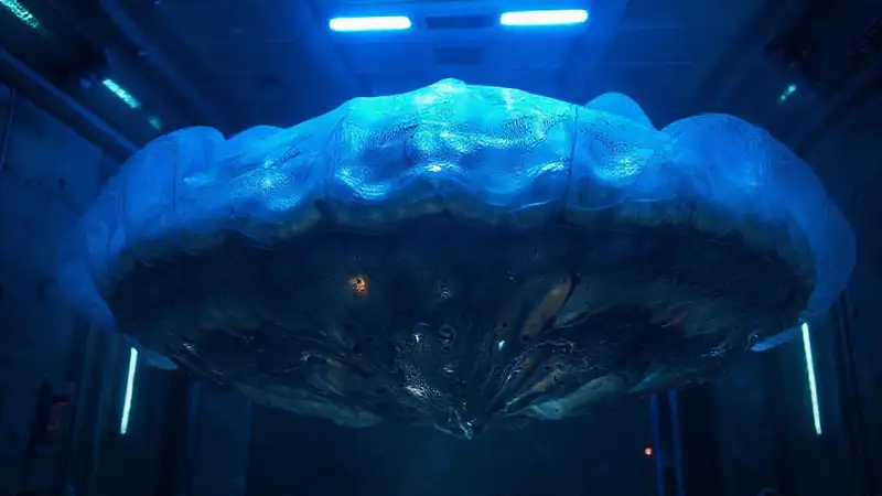 Estructura orgánica misteriosa en entorno securizado